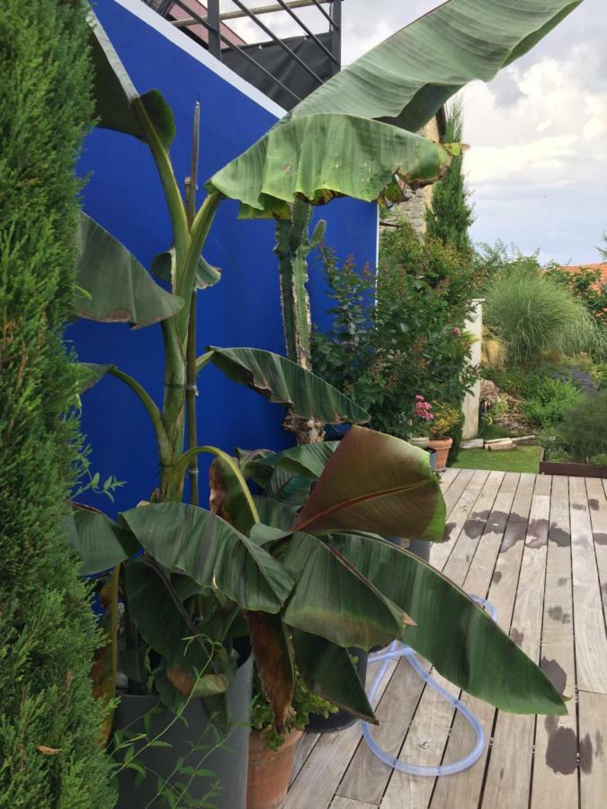 Un Havre De Paix Apartamento Courcelles-Sapicourt Exterior foto